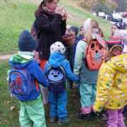 IMG-20241113-WA0177