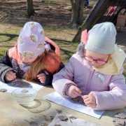 IMG-20250511-WA0003