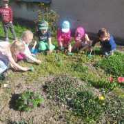 IMG-20250511-WA0010