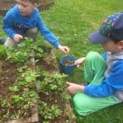 IMG-20250511-WA0019