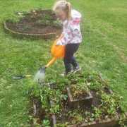 IMG-20250511-WA0020