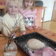 IMG-20260315-WA0137