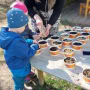 IMG-20250412-WA0181